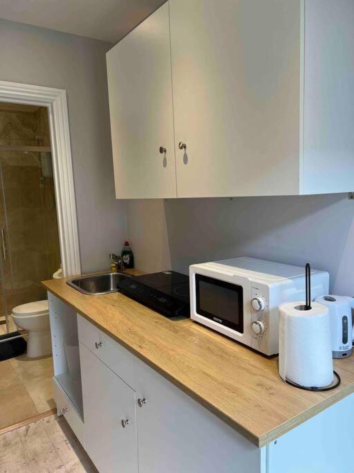Newly Built Large Garden Ensuite Guest Studio Borehamwood Exteriör bild