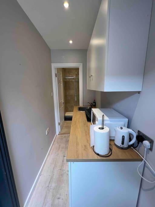 Newly Built Large Garden Ensuite Guest Studio Borehamwood Exteriör bild