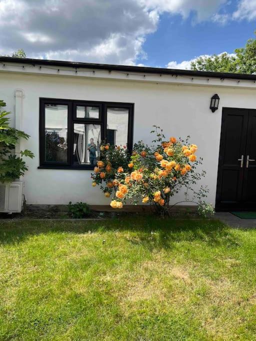 Newly Built Large Garden Ensuite Guest Studio Borehamwood Exteriör bild