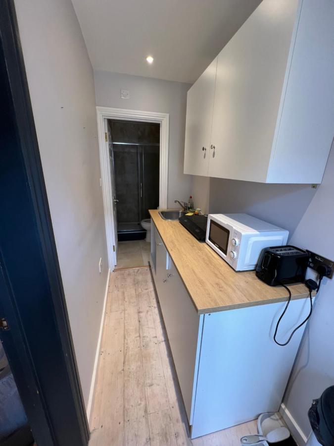 Newly Built Large Garden Ensuite Guest Studio Borehamwood Exteriör bild